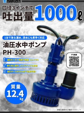 PH-300